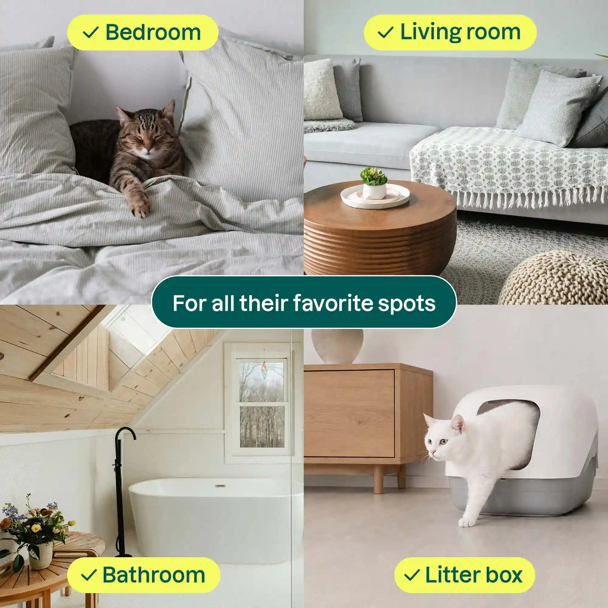 Pet Air Purifier