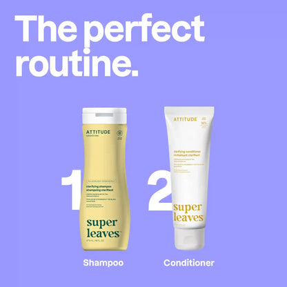Clarifying Hair Duo