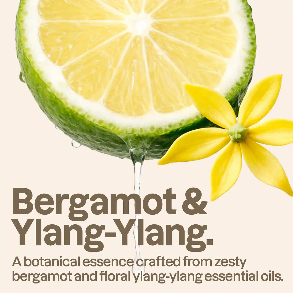 Body Wash - Essential Oils