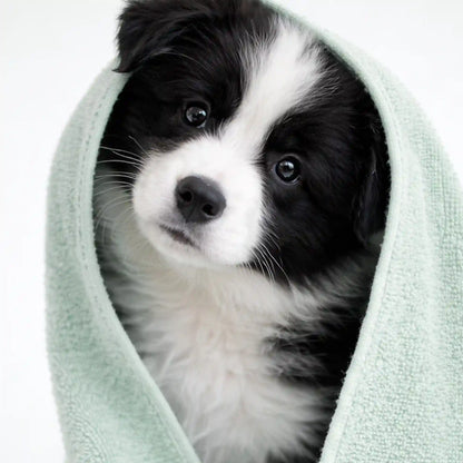 2-in-1 Pet Shampoo & Conditioner - Deodorizing